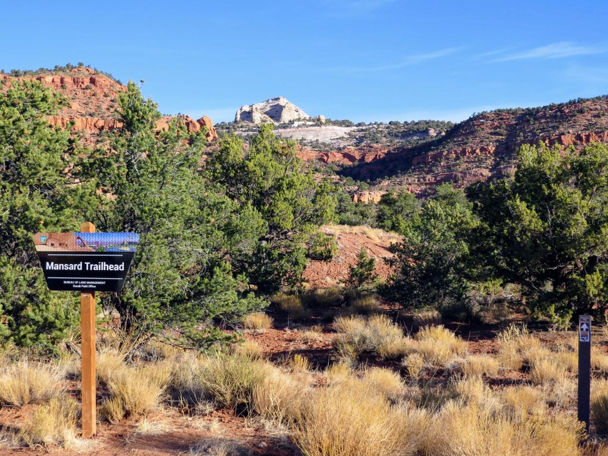 Timber & Tin G 2Bed 2Bath W Pool & Rooftop Deck Kanab Exterior foto